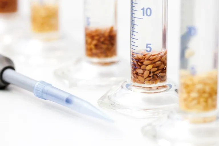 Reagenzgläser zur Qualitätskontrolle