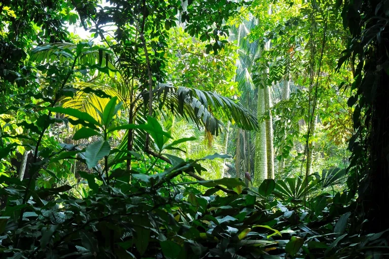 Keyaniyan  Ethik Header