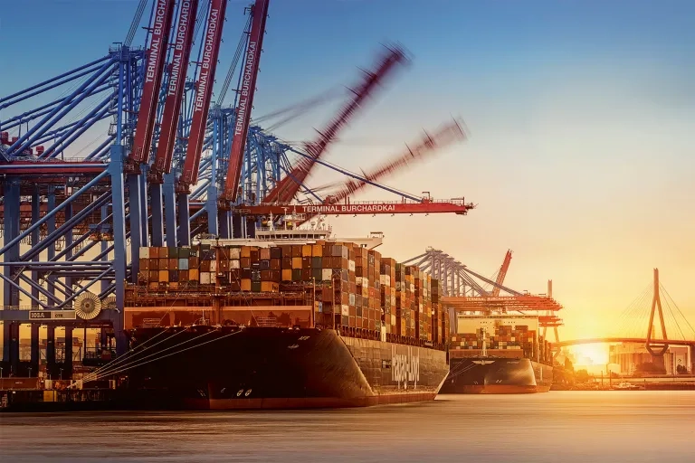 Hafensituation mit Containerschiffen an Kaimauer, Kräne in Bewegung