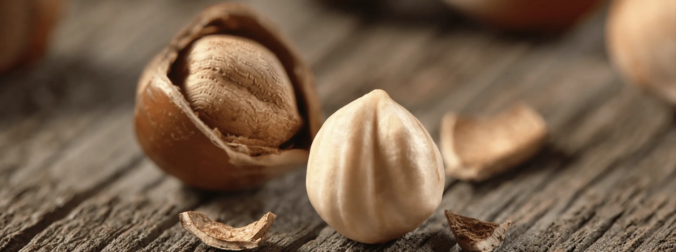 Haselnusskerne