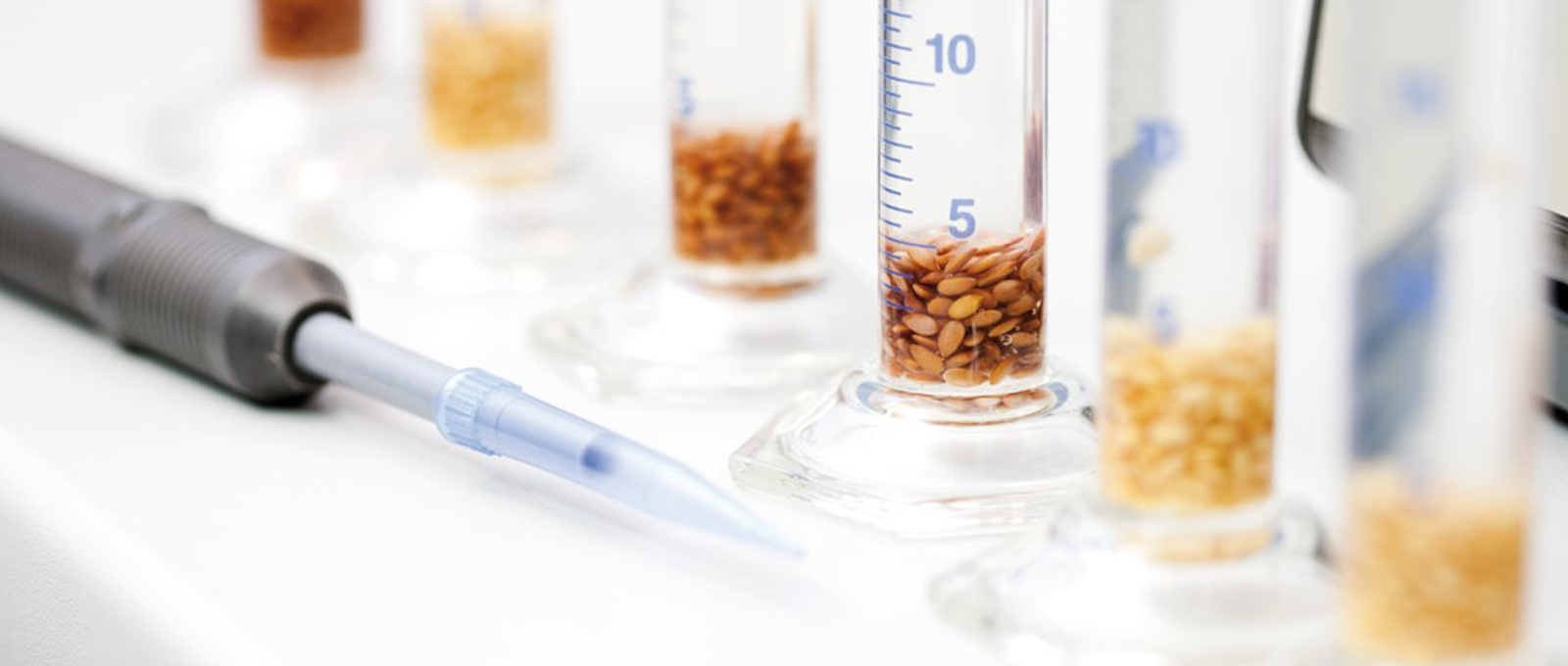 Reagenzgläser zur Qualitätskontrolle